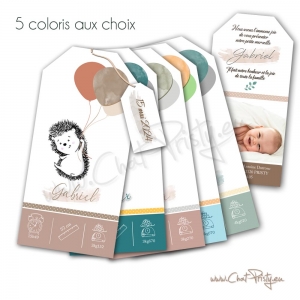 Faire-part naissance hérisson personnalisé sur mesure 