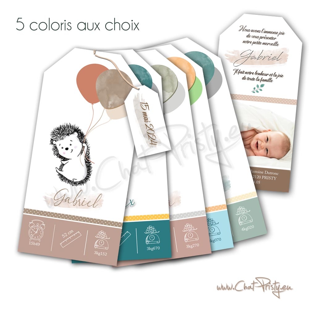 Faire-parts de naissance hérisson personnalisable sur mesure