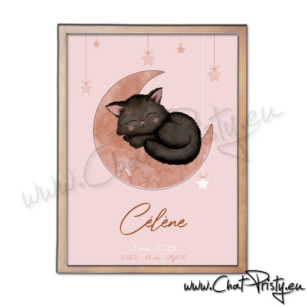cadeau naissance personnalisé aquarelle chat noir sur lune