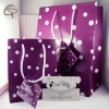 Grand paquet cadeau violet