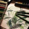 illustration tropicale aquarelle feuilles de palmier