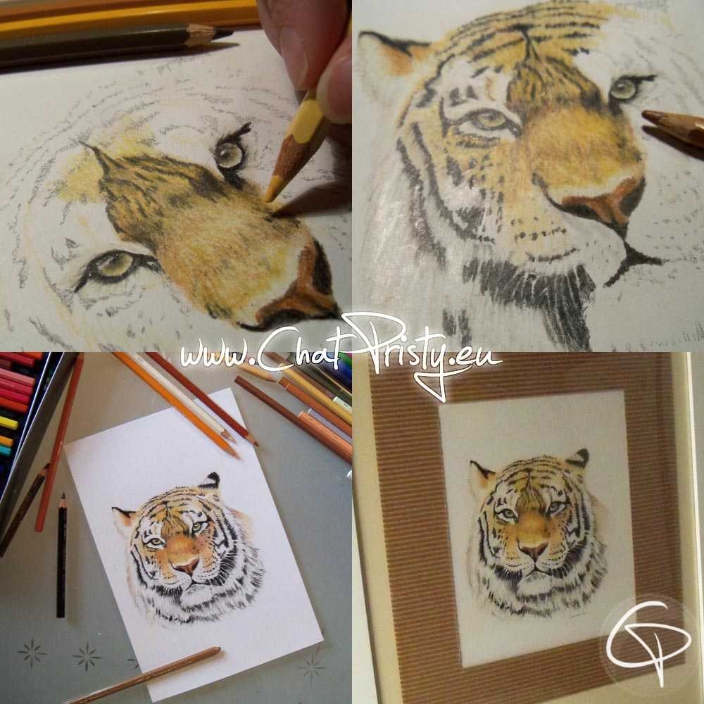 Dessin étape par étape tigre crayons de couleur puis bijou avec médaillon fait main par Chat