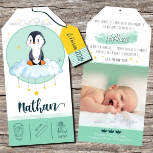 Faire-part naissance pingouin