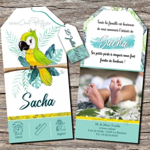 Faire-part de naissance tropical