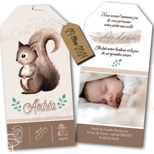Faire-part de naissance écureuil