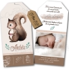 Faire-part de naissance écureuil