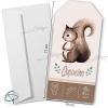 Faire-parts naissance écureuil enveloppe fournie