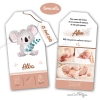 Illustration aquarelle koala pour annonce naissance bébé