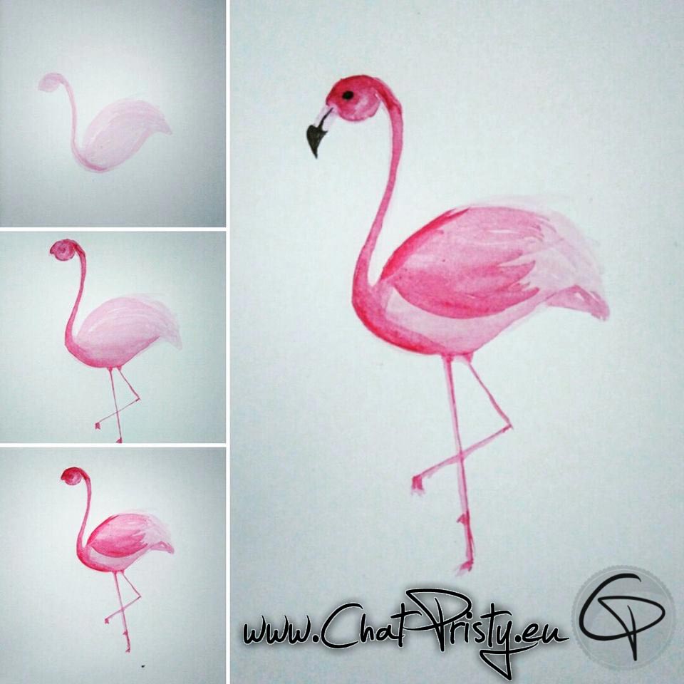 Illustration flamant rose faite main dessin aquarelle étape par étape Chat Pristy