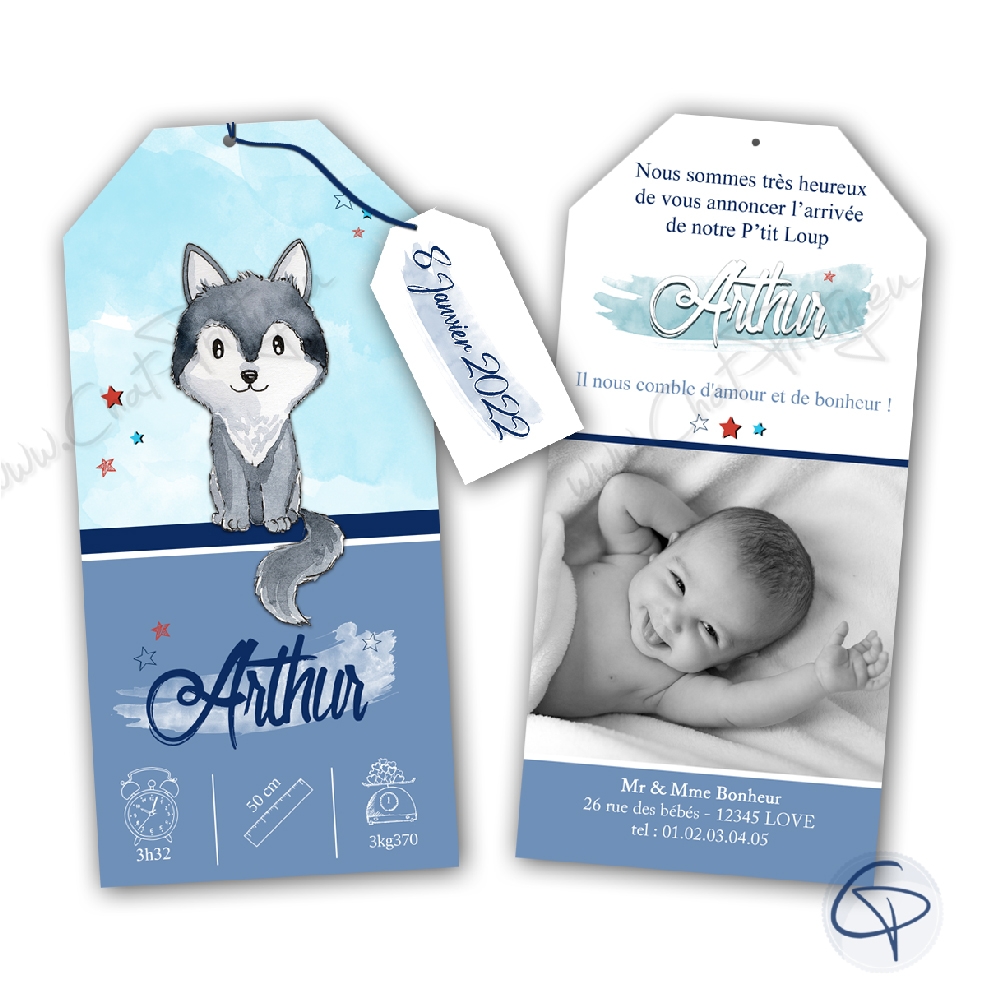 Faire-part de naissance mixte loup ou louve